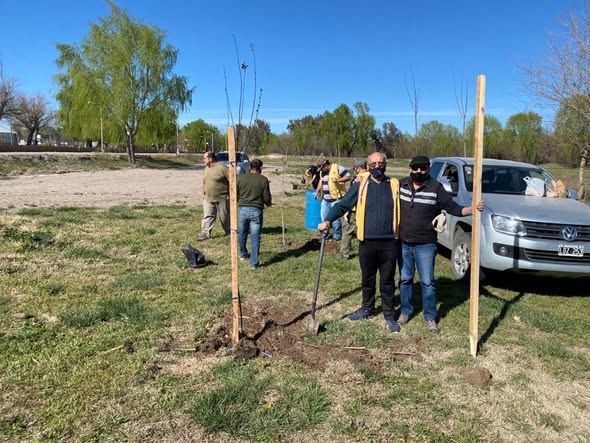 Integrantes del Club de Leones plantando árboles jóvenes en un espacio verde de Choele Choel