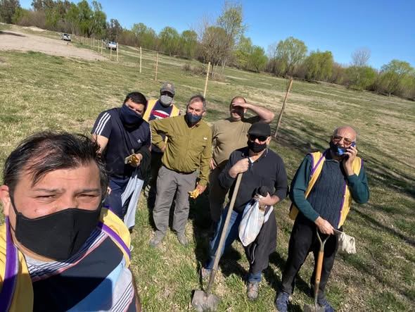 Plantación de árboles jóvenes en un espacio verde de Choele Choel